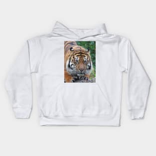 Ready To Pounce Kids Hoodie